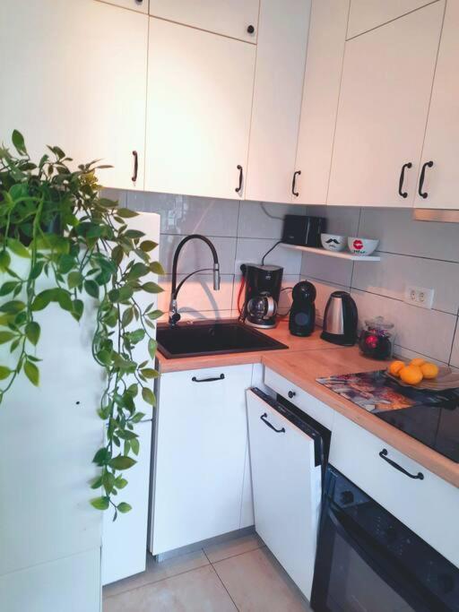 Apartman Nane Solin Exterior photo