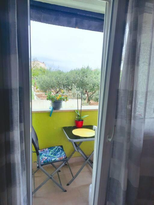 Apartman Nane Solin Exterior photo